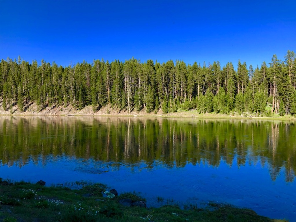 f:id:Toshibo:20190731205933j:image