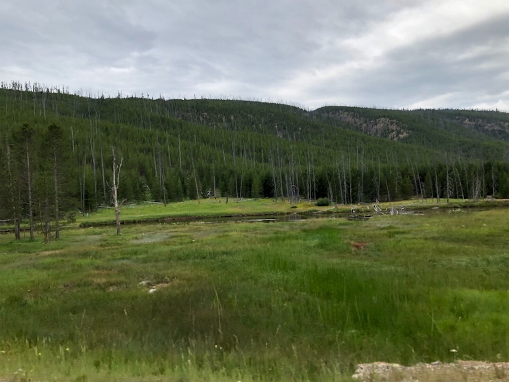 f:id:Toshibo:20190731210124j:image