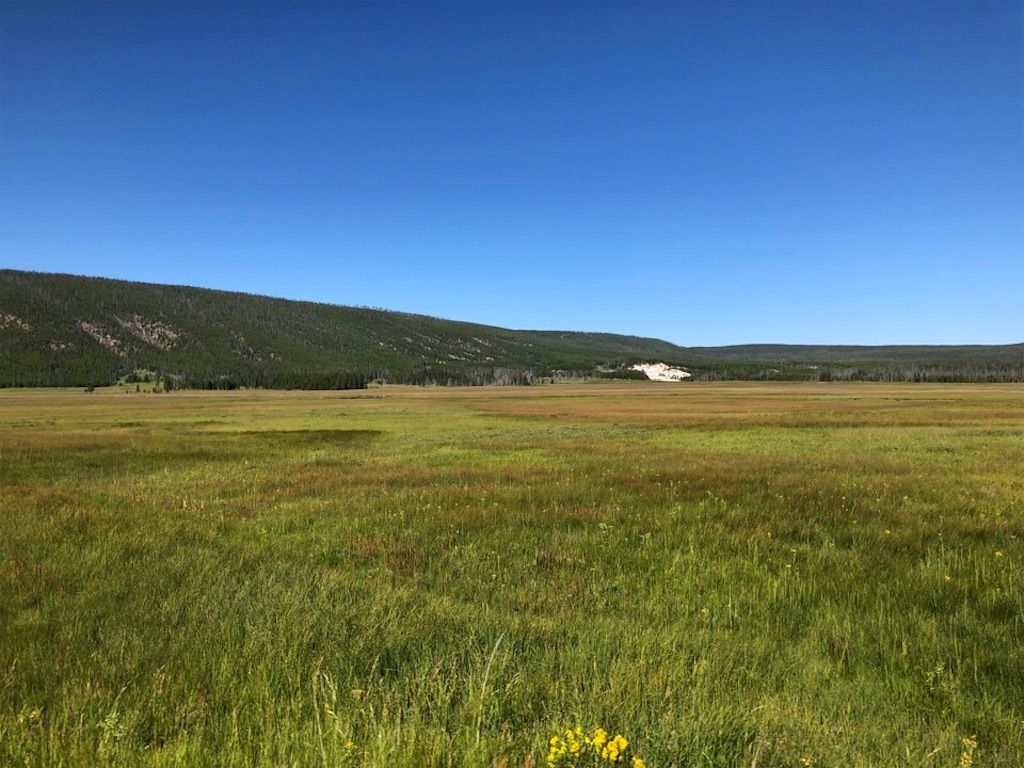 f:id:Toshibo:20190731210330j:image