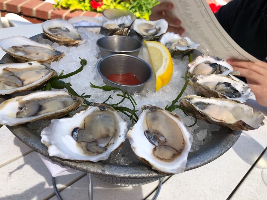 f:id:Toshibo:20190805133621j:image