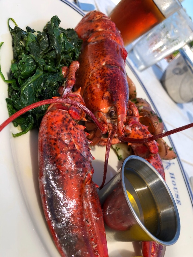 f:id:Toshibo:20190805133714j:image