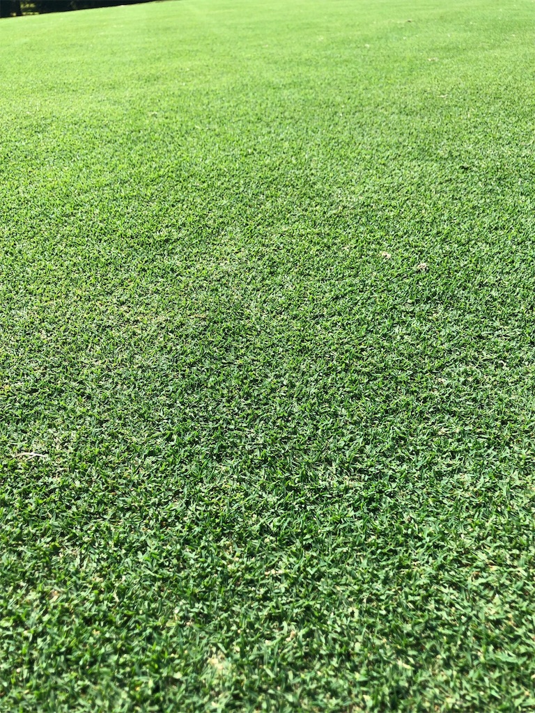 f:id:Toshibo:20190813213838j:image