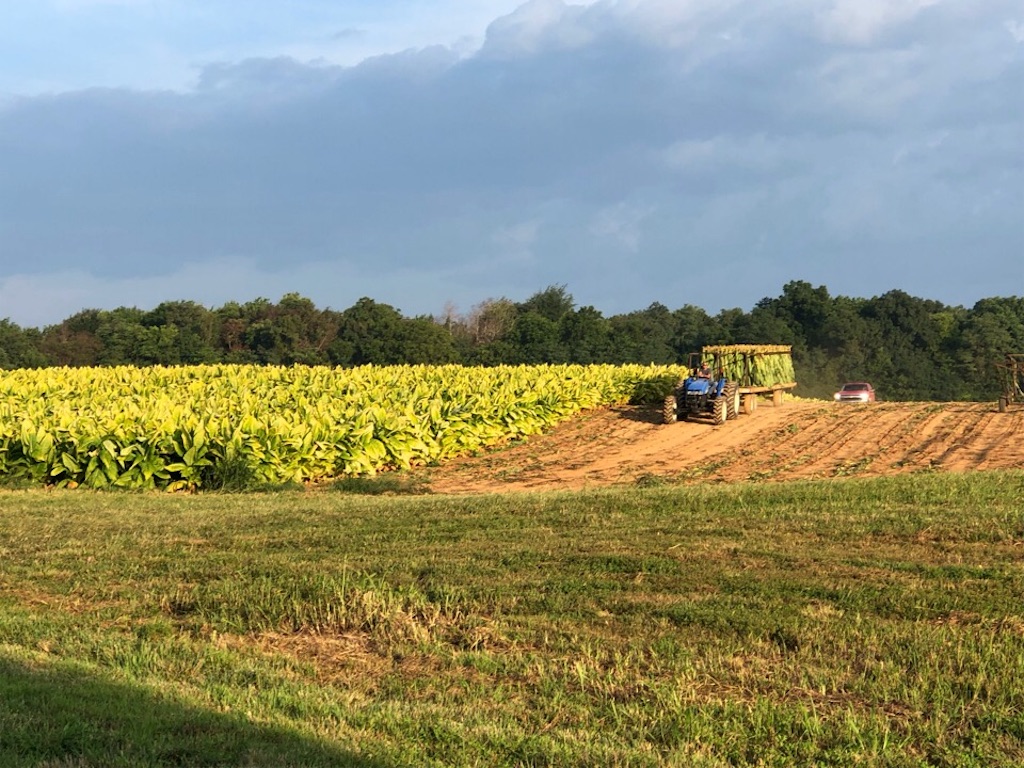 f:id:Toshibo:20190816213415j:image