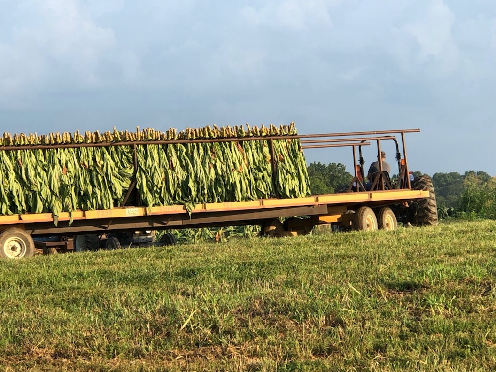 f:id:Toshibo:20190816213429j:image