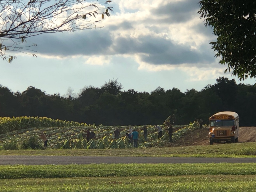 f:id:Toshibo:20190816213443j:image