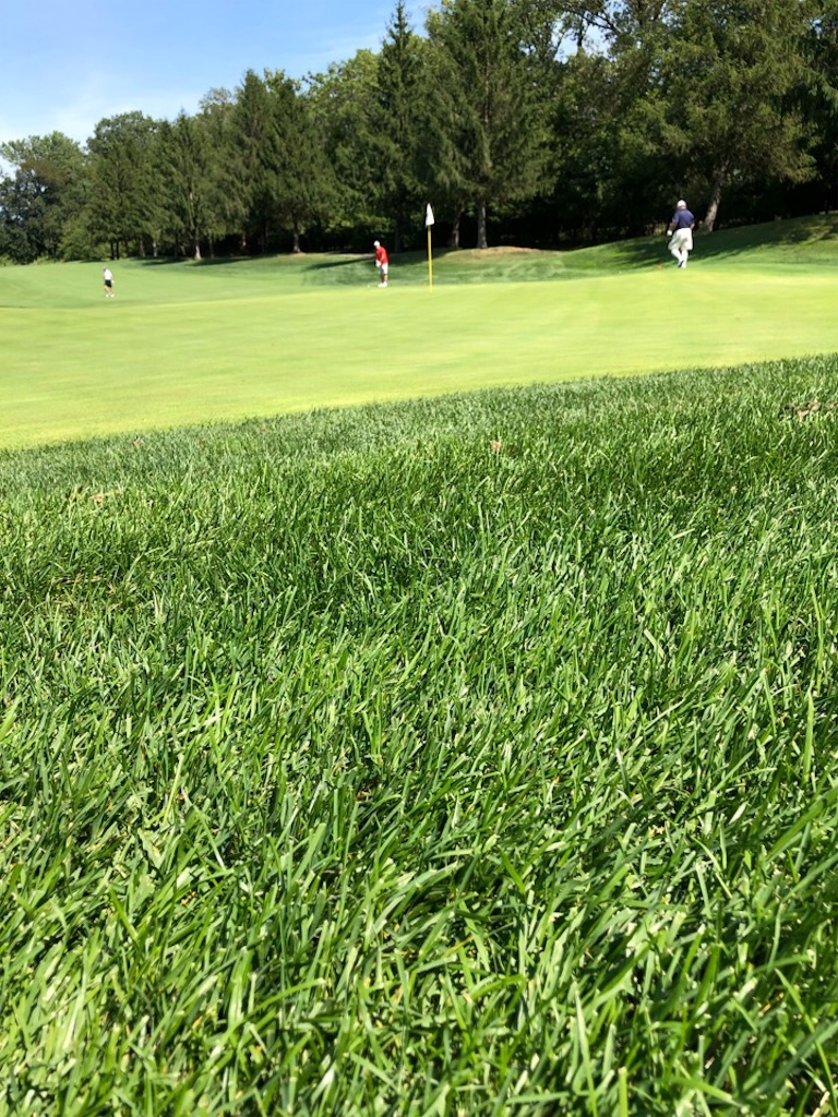 f:id:Toshibo:20190903123851j:image