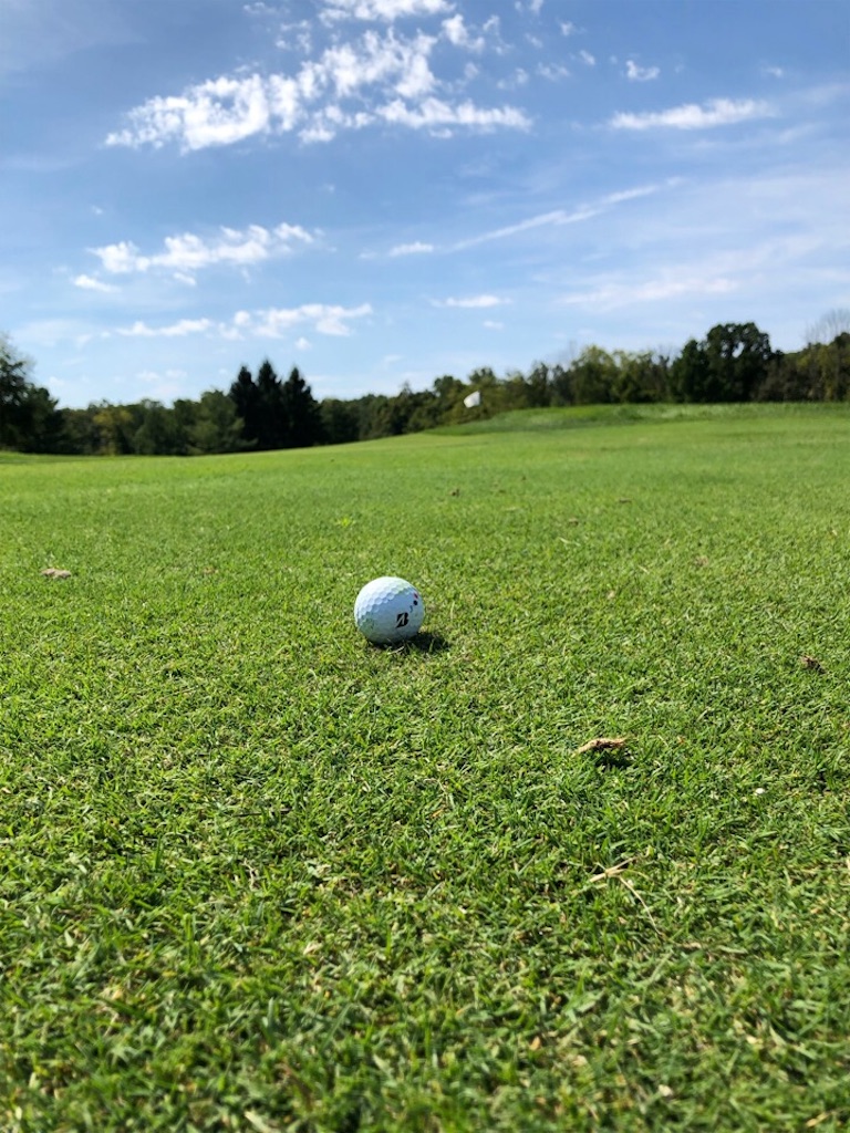 f:id:Toshibo:20190903123919j:image