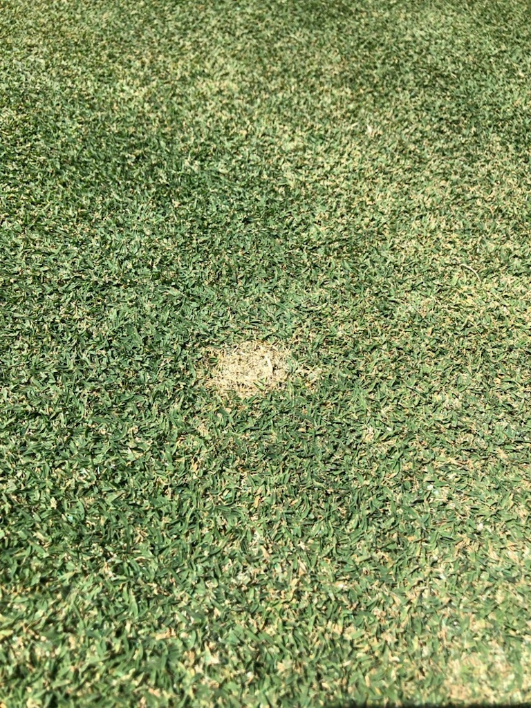 f:id:Toshibo:20190904213921j:image