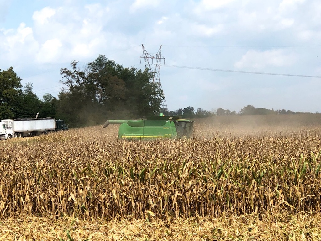 f:id:Toshibo:20190905220016j:image