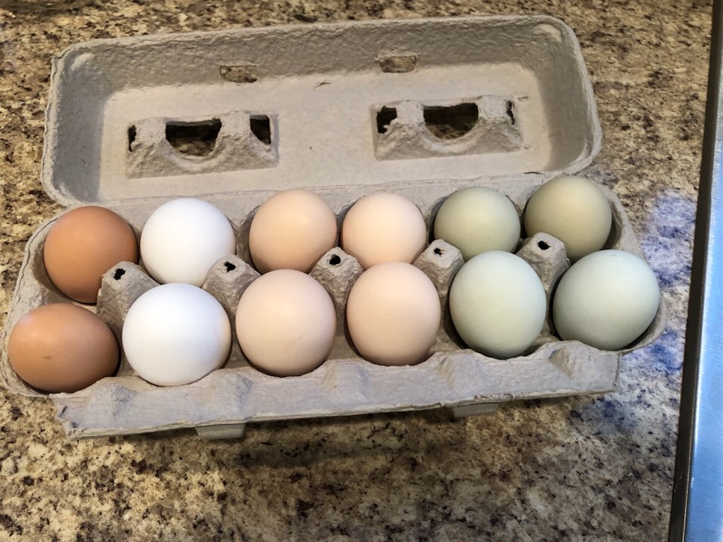 f:id:Toshibo:20190916081749j:image