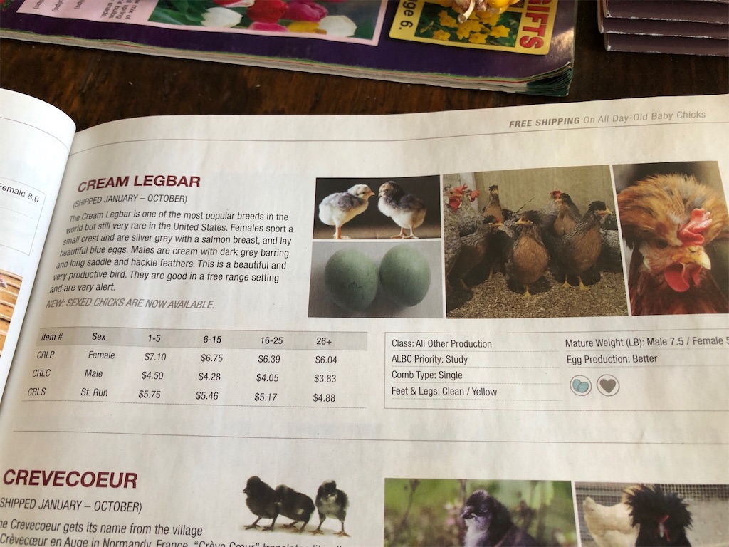 f:id:Toshibo:20190916082628j:image