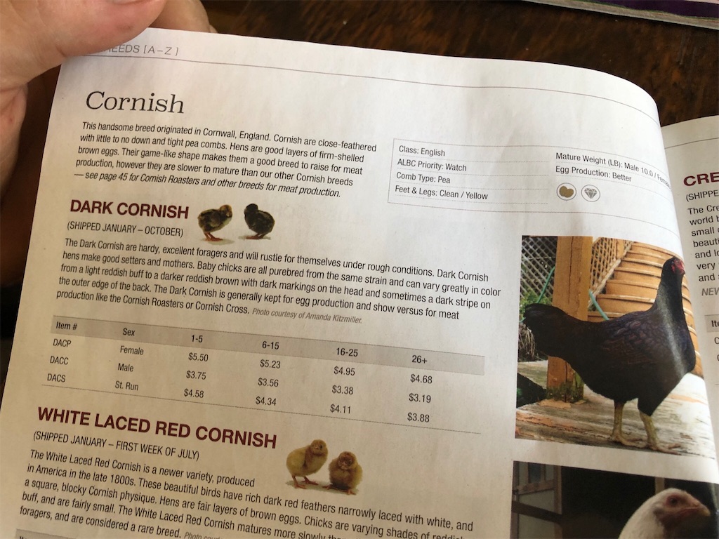 f:id:Toshibo:20190916082650j:image