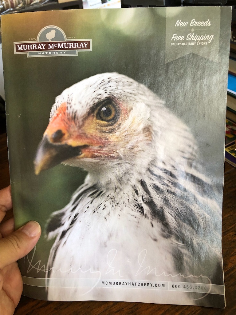 f:id:Toshibo:20190916082724j:image