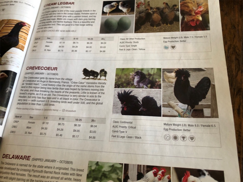 f:id:Toshibo:20190916082732j:image