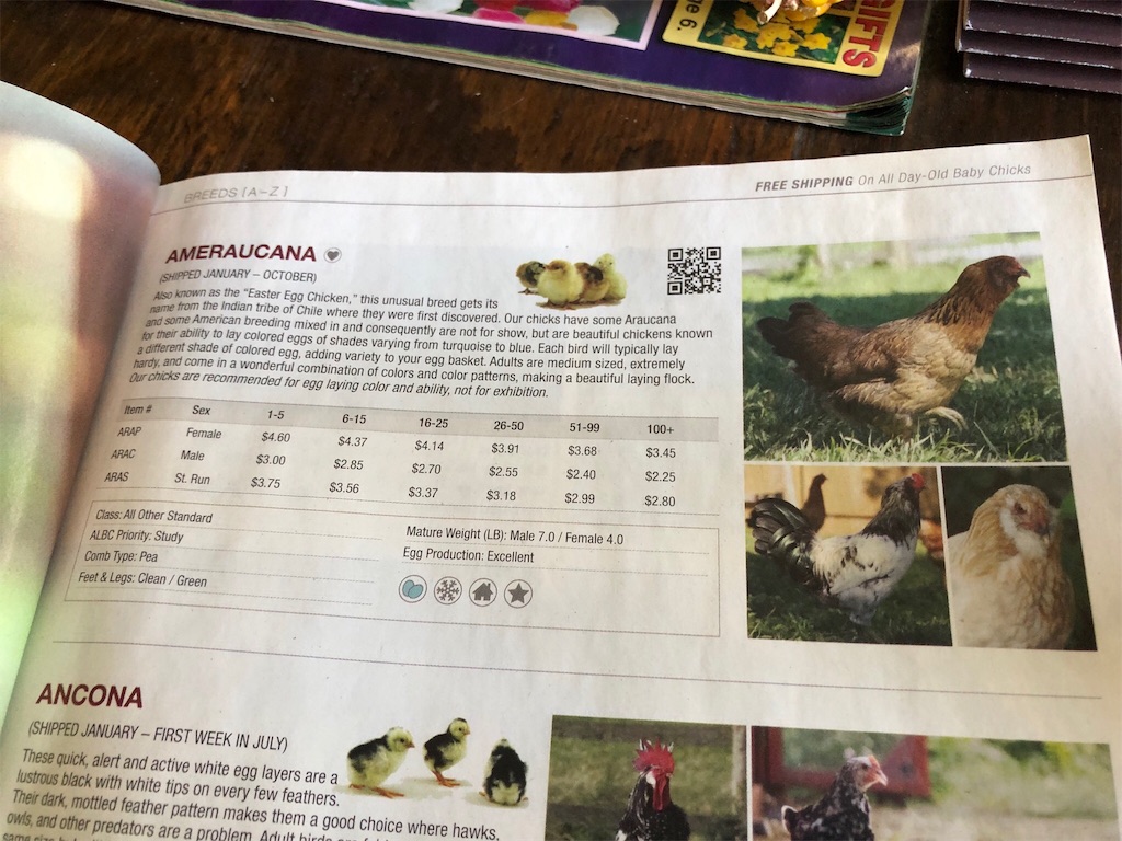 f:id:Toshibo:20190916082740j:image