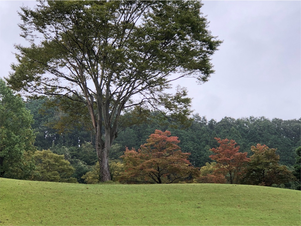 f:id:Toshibo:20191016235236j:image