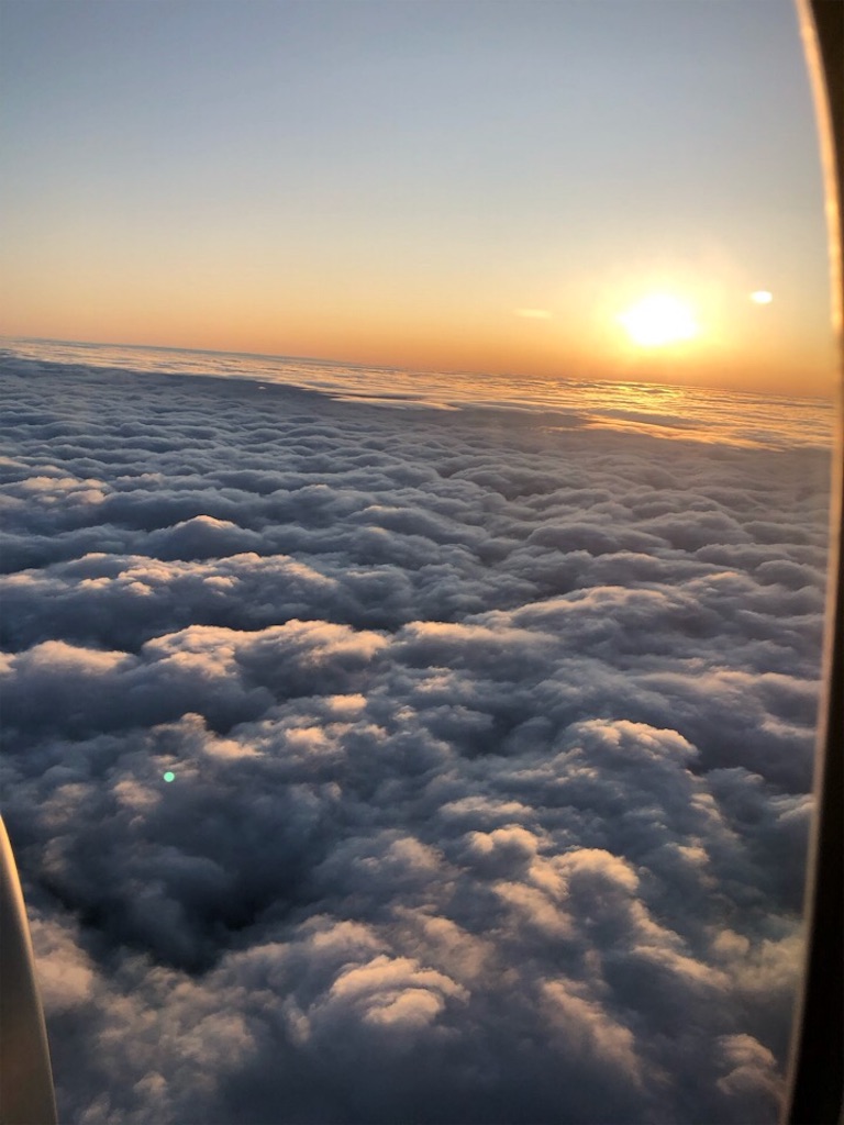 f:id:Toshibo:20191019125236j:image