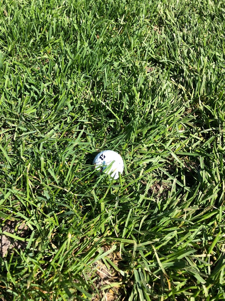 f:id:Toshibo:20191020222433j:image