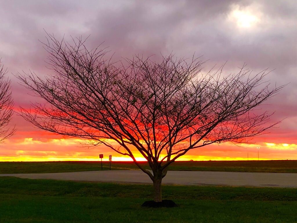 f:id:Toshibo:20191103225357j:image f:id:Toshibo:20191103225357j:image