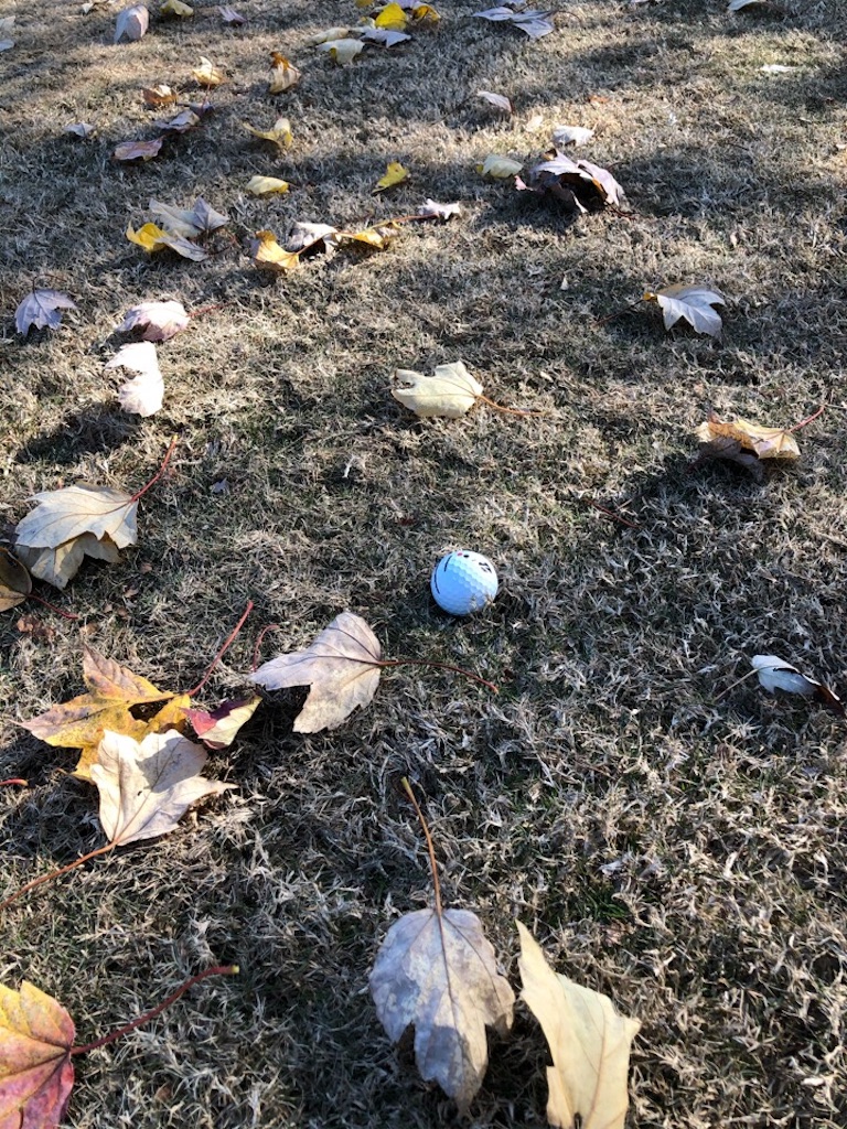 f:id:Toshibo:20191110110048j:image