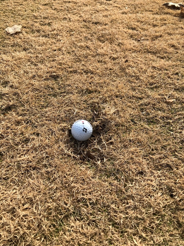 f:id:Toshibo:20191118114231j:image