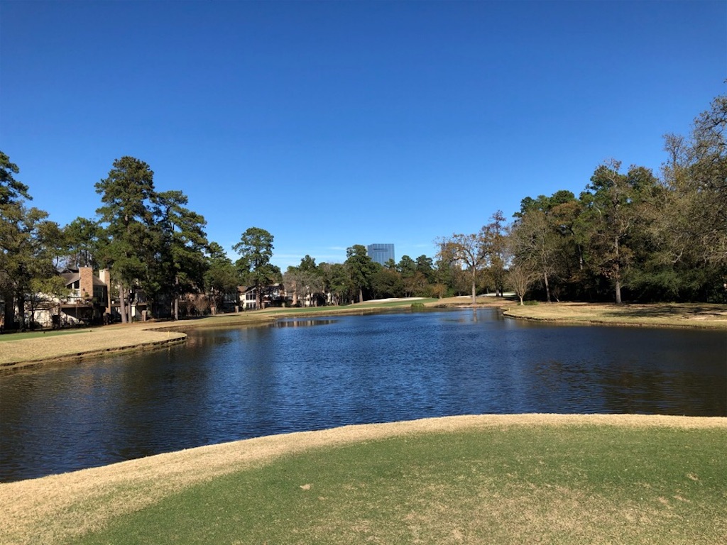 f:id:Toshibo:20191207070211j:image