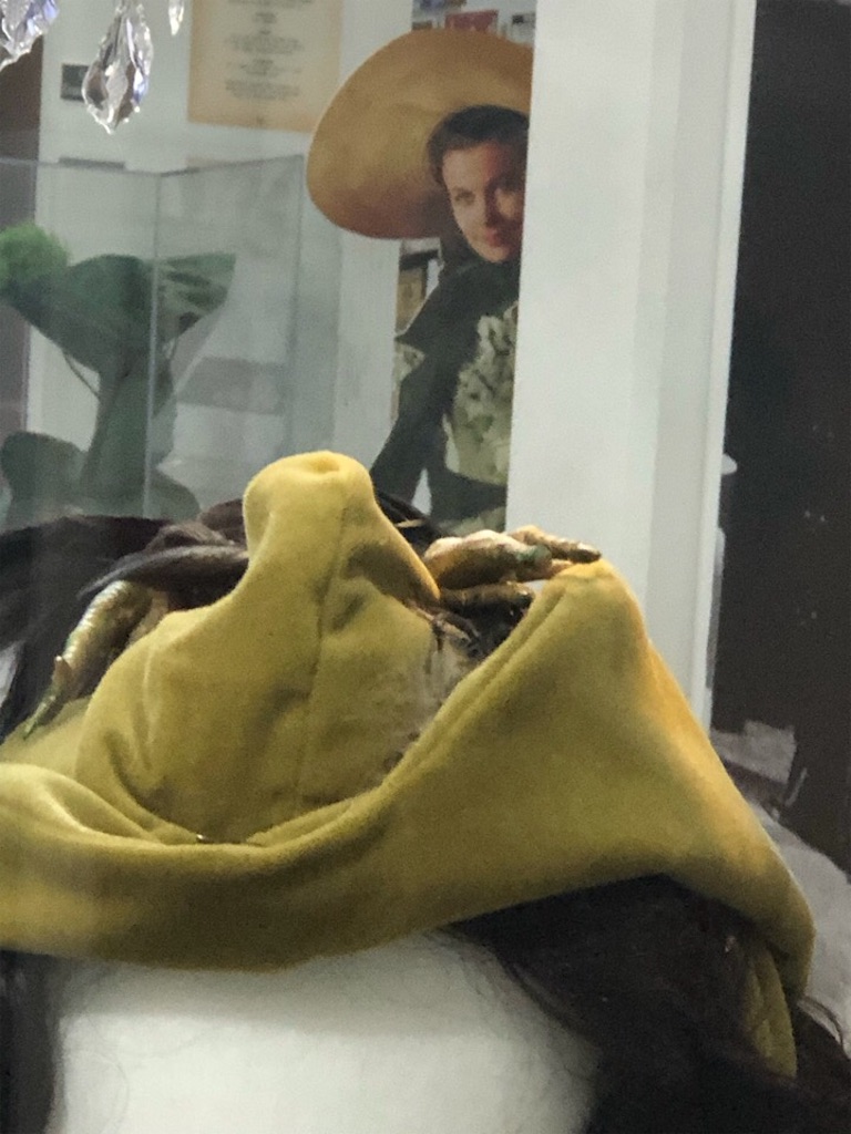 f:id:Toshibo:20200116103021j:image