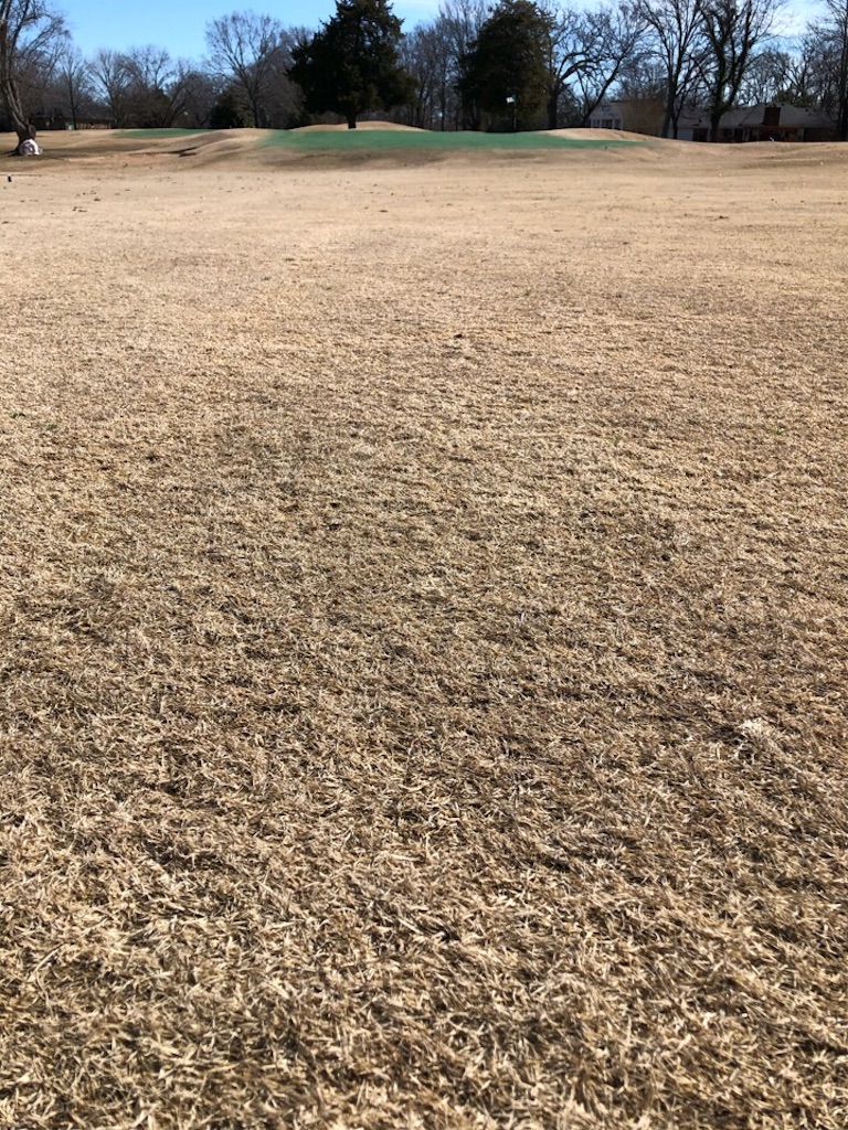 f:id:Toshibo:20200204091215j:image