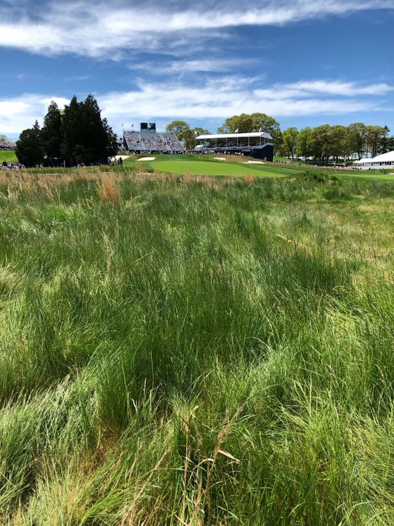 f:id:Toshibo:20200207090524j:image