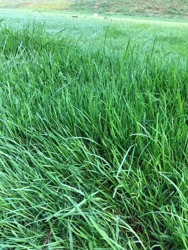 f:id:Toshibo:20200207090550j:image