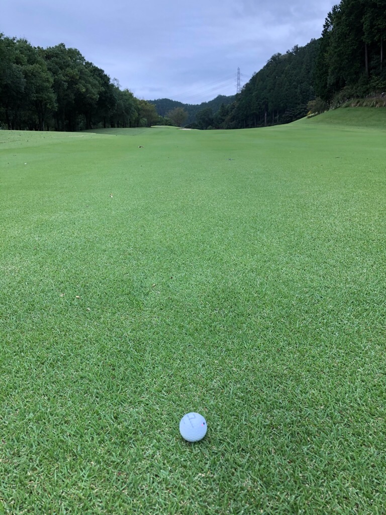 f:id:Toshibo:20200208223343j:image f:id:Toshibo:20200208223343j:image