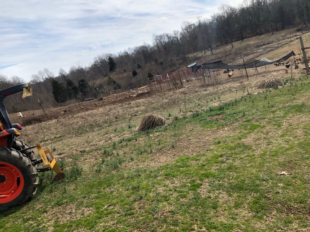 f:id:Toshibo:20200217083840j:image f:id:Toshibo:20200217083840j:image