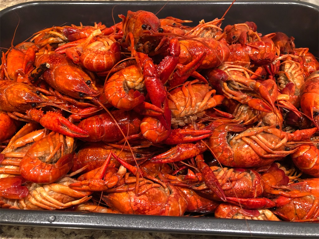 f:id:Toshibo:20200217084048j:image f:id:Toshibo:20200217084048j:image