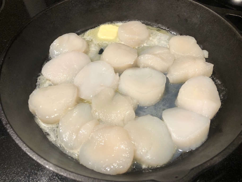 f:id:Toshibo:20200301225030j:image