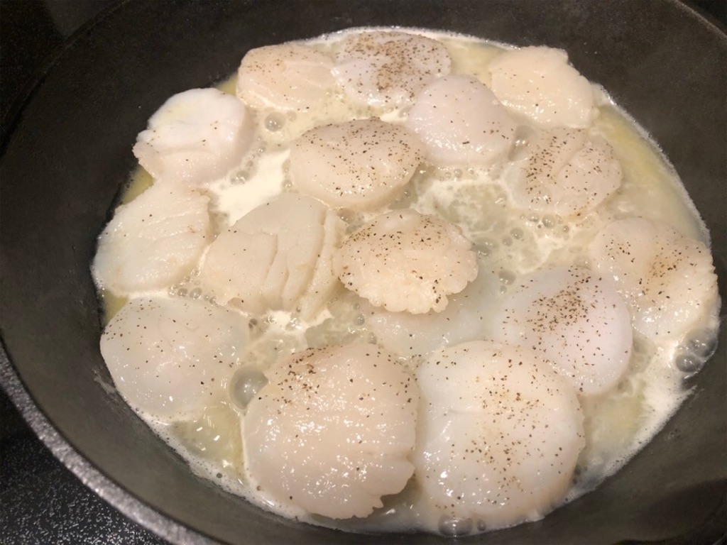 f:id:Toshibo:20200301225151j:image