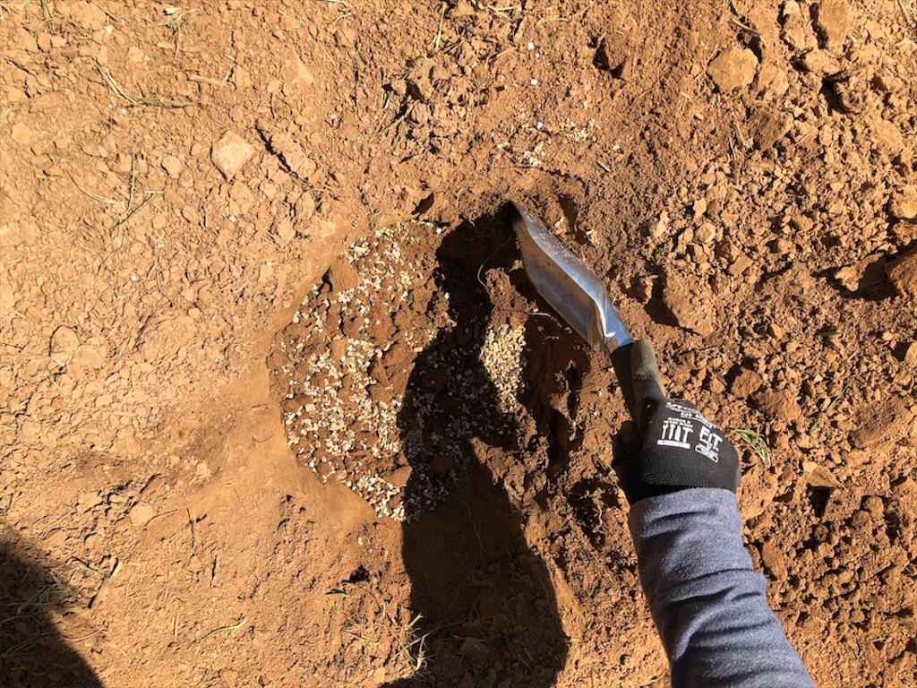 f:id:Toshibo:20200602222334j:image