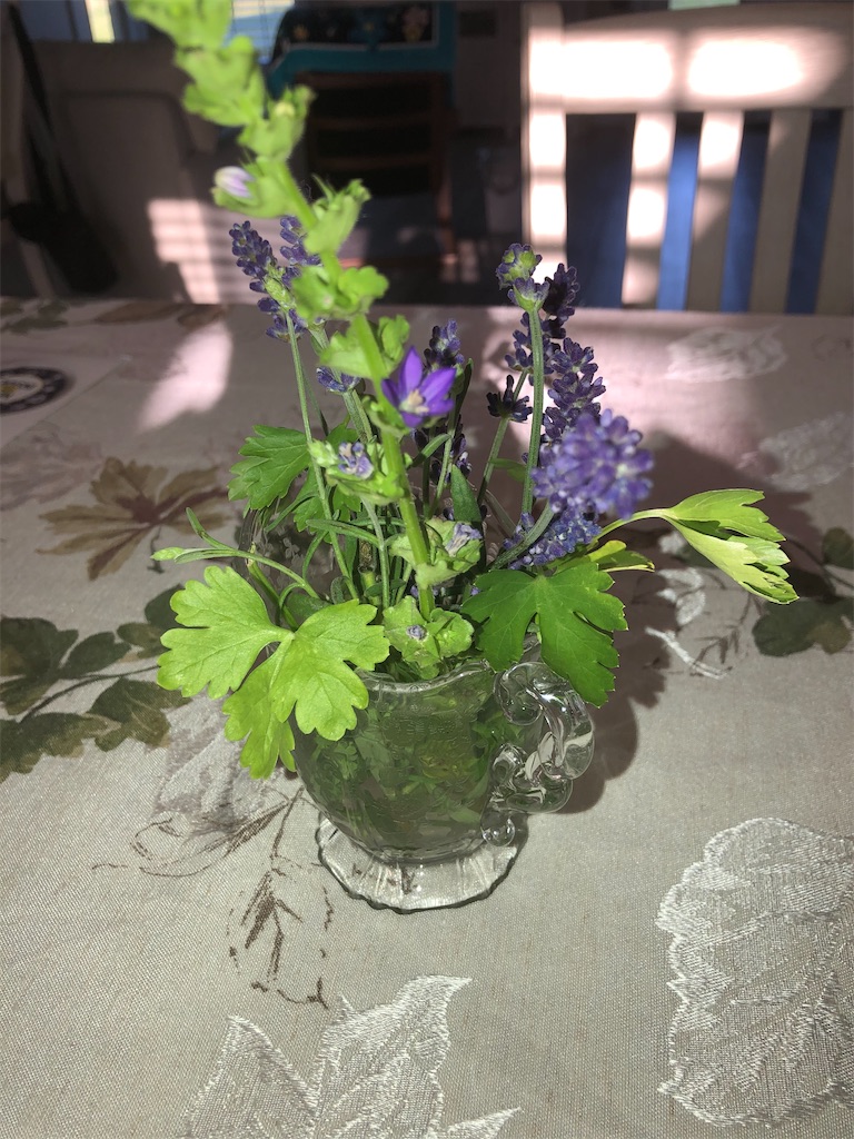 f:id:Toshibo:20200603211038j:image