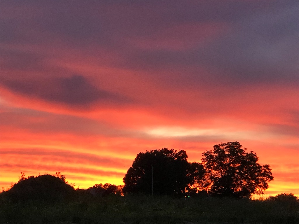 f:id:Toshibo:20200626114923j:image