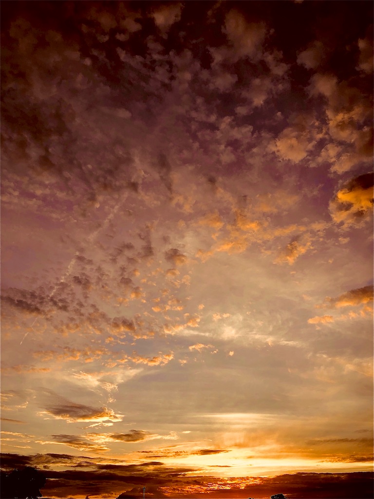 f:id:Toshibo:20200626114927j:image