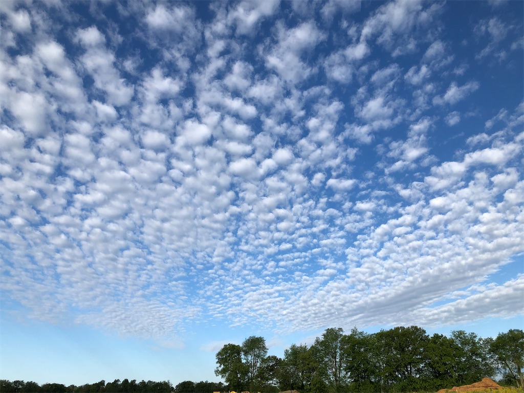 f:id:Toshibo:20200626114932j:image