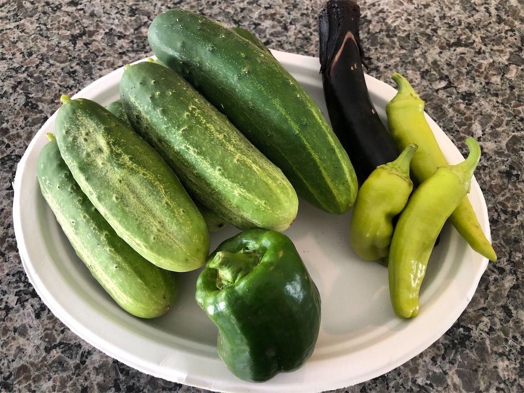 f:id:Toshibo:20200627220542j:image