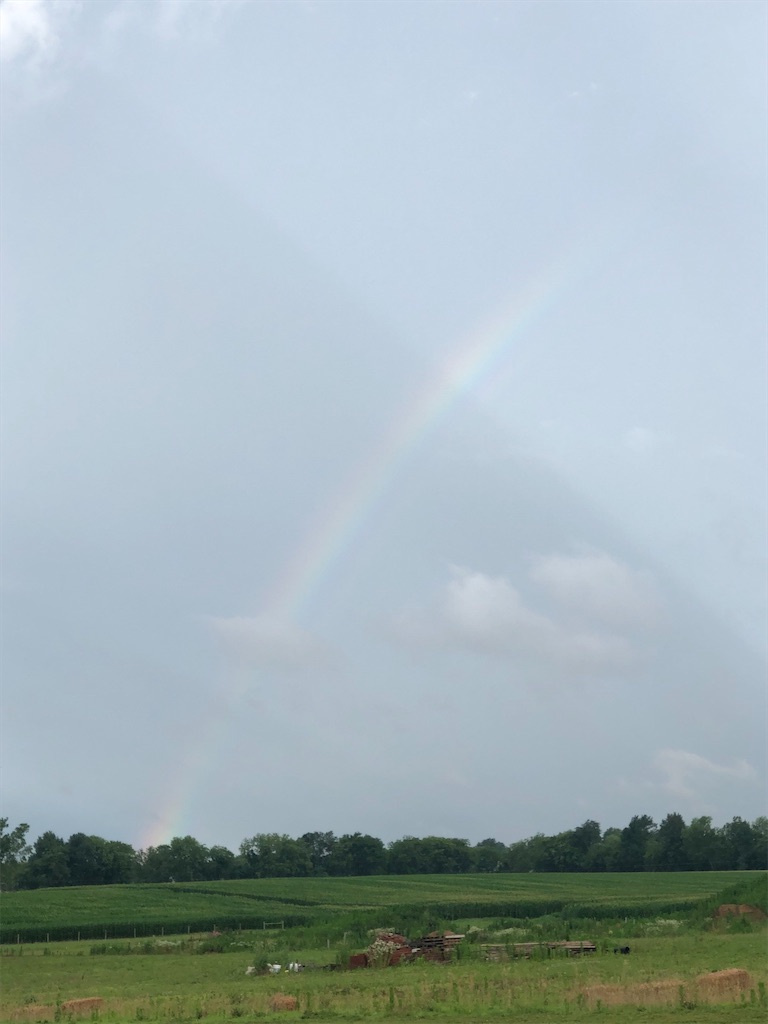 f:id:Toshibo:20200630221542j:image