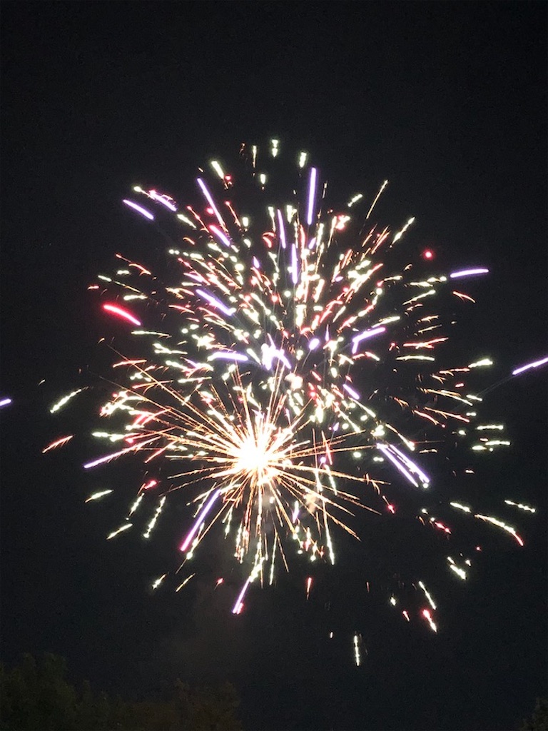 f:id:Toshibo:20200705224809j:image