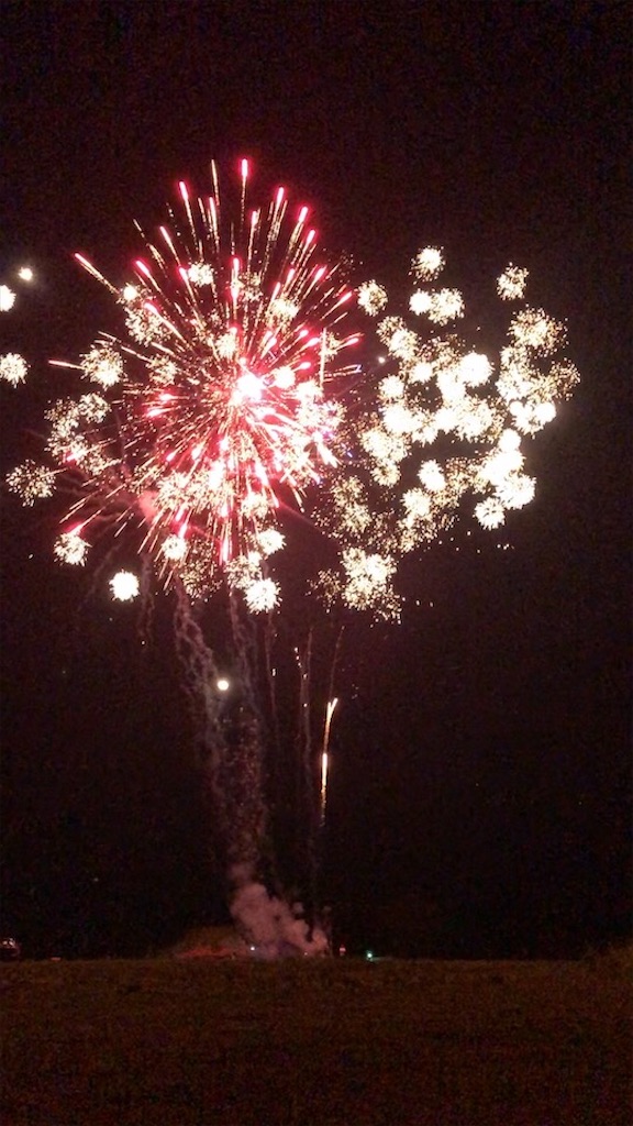 f:id:Toshibo:20200705224823j:image