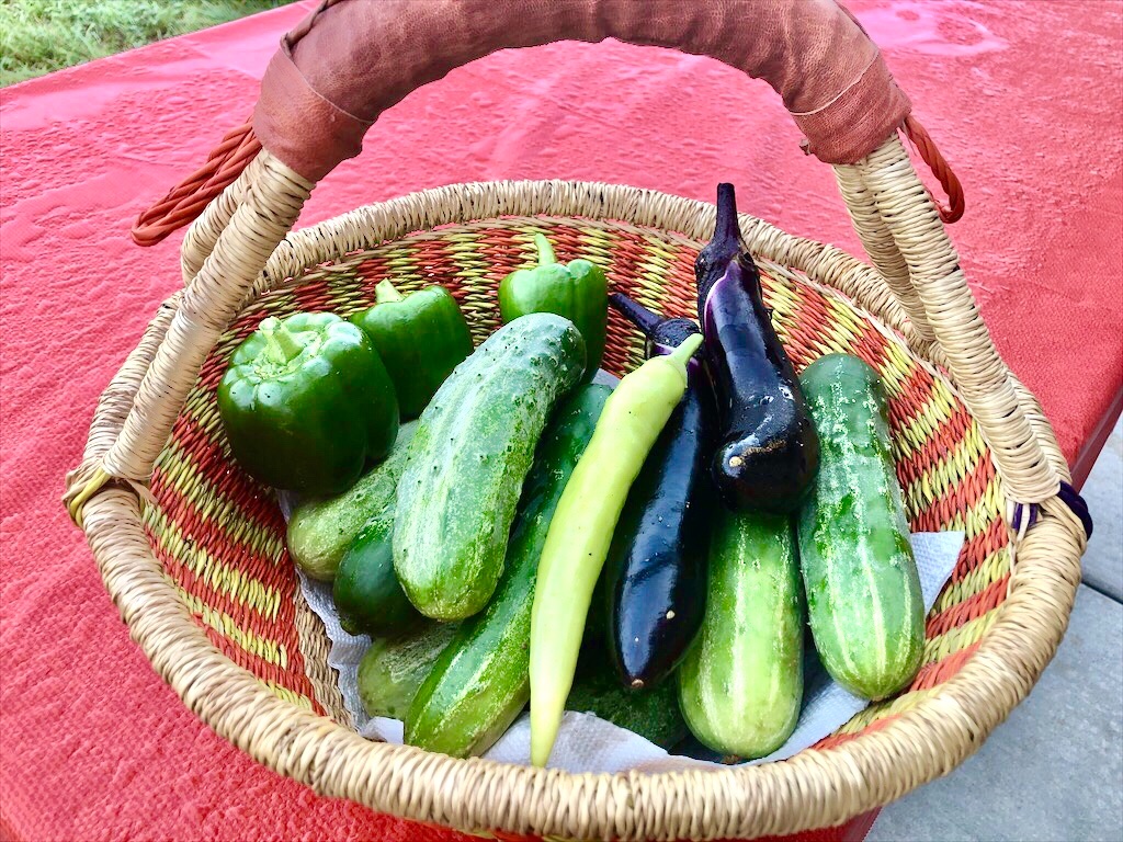 f:id:Toshibo:20200718213341j:image f:id:Toshibo:20200718213341j:image