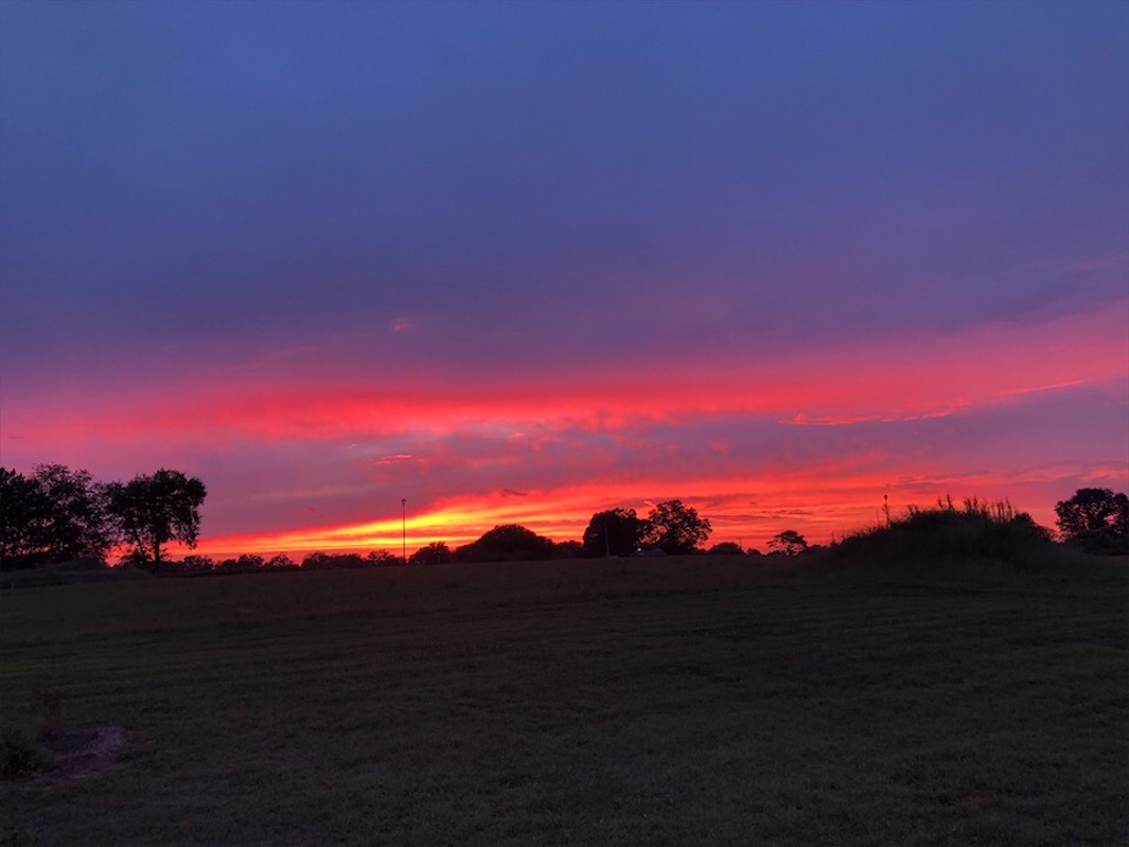 f:id:Toshibo:20200823220413j:image