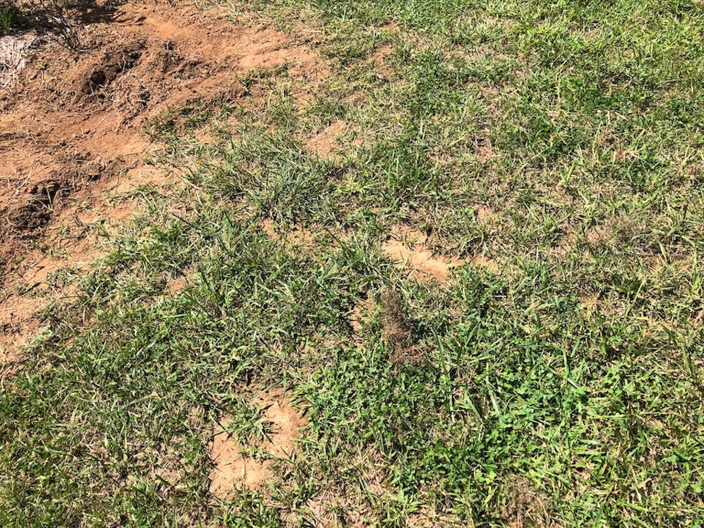 f:id:Toshibo:20200910084340j:image