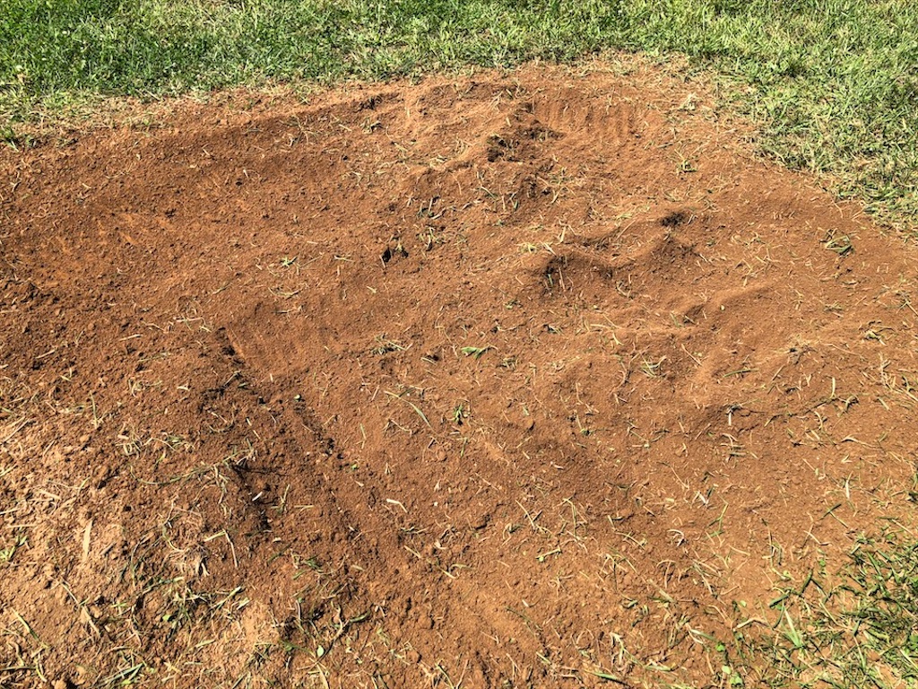 f:id:Toshibo:20200910084344j:image