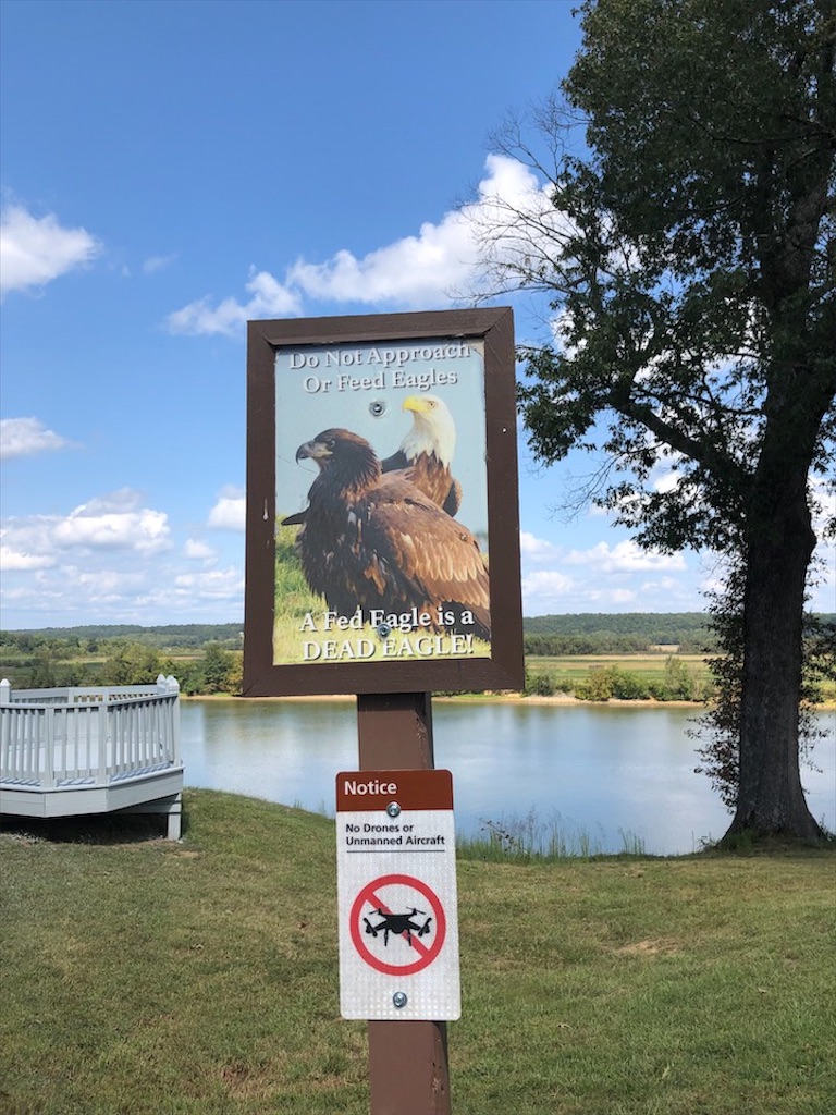 f:id:Toshibo:20200928122521j:image