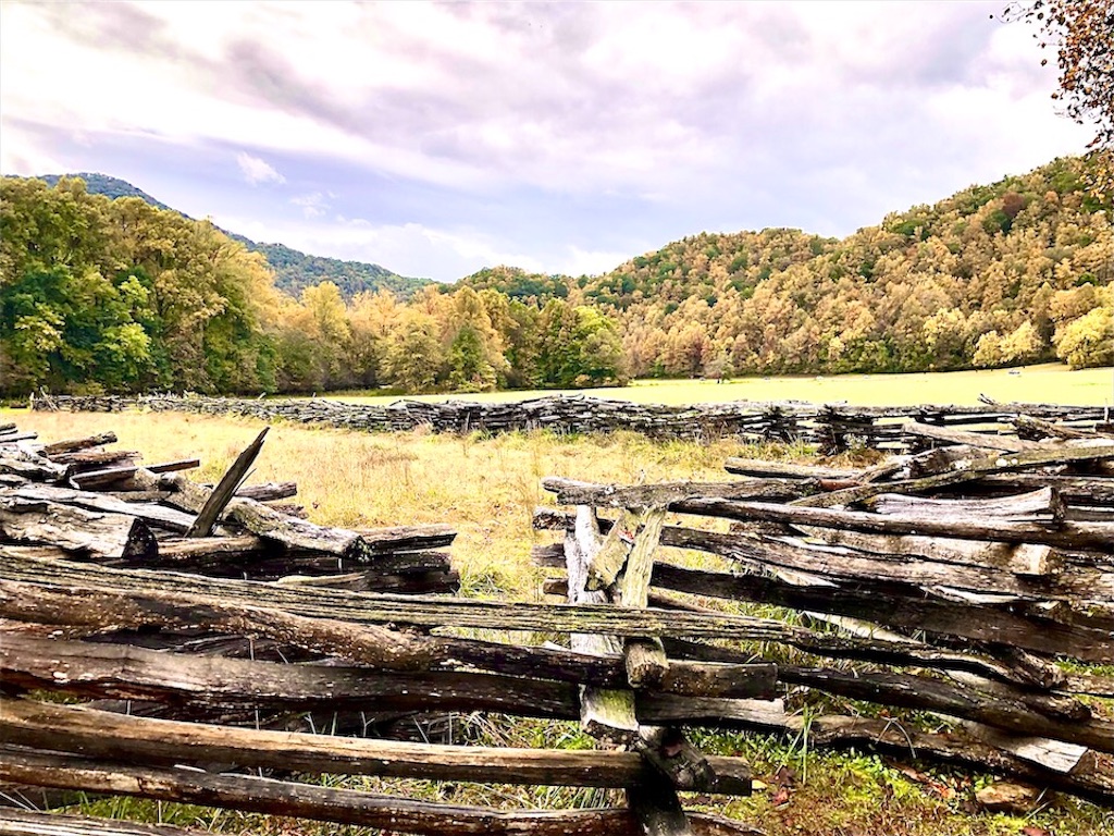 f:id:Toshibo:20201016083849j:image f:id:Toshibo:20201016083849j:image